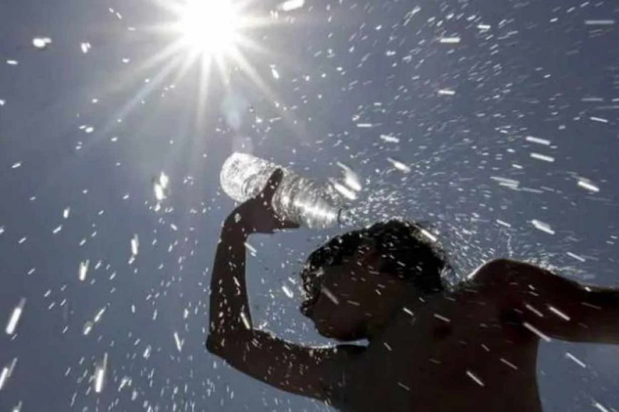 Verano 2024: Consejos para una alimentación e hidratación saludable en días de intenso calor