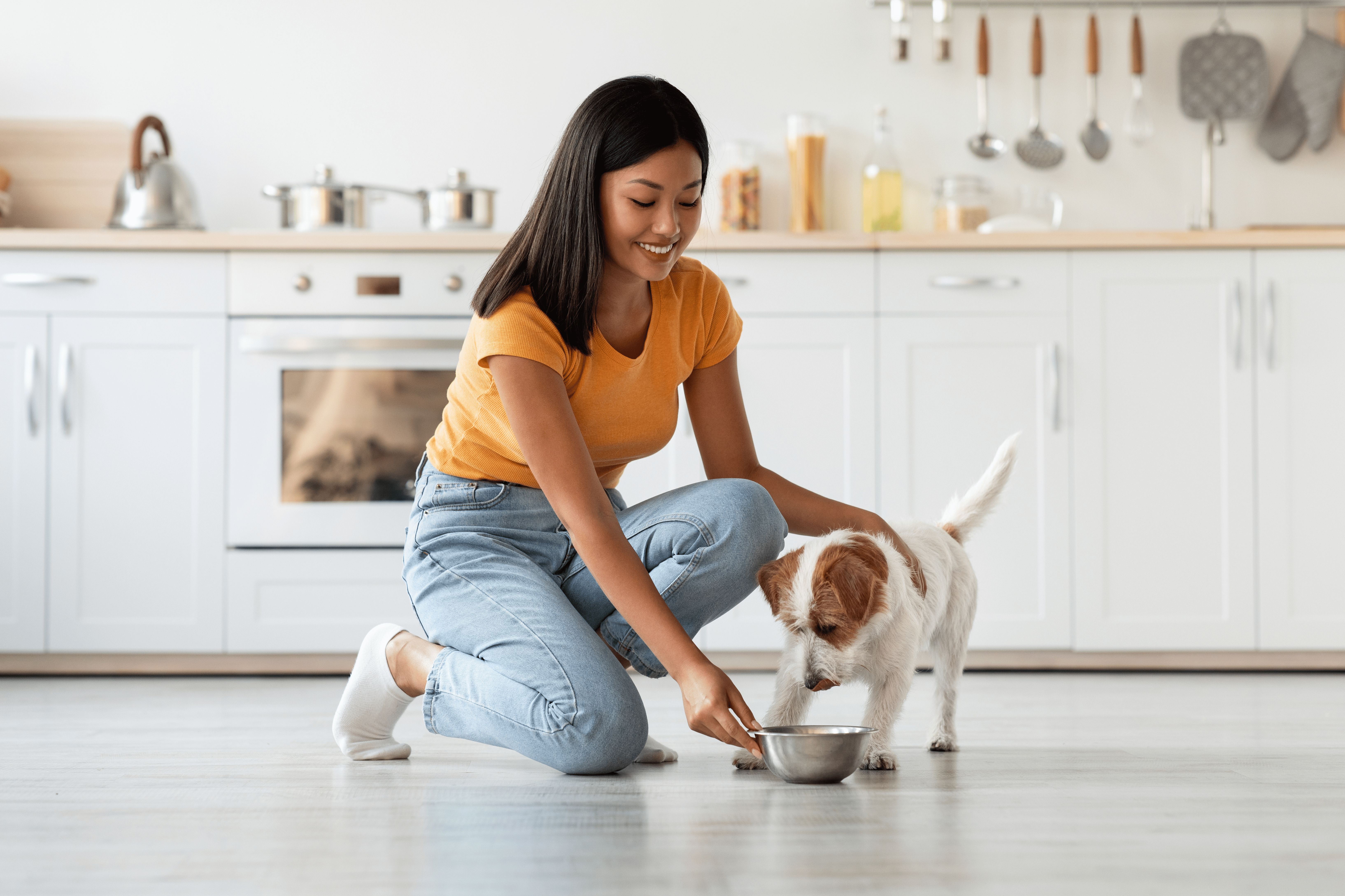 Guía de nutrición para perros: Conoce los alimentos que debes darle y los que debes evitar