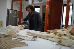 Explorando el pasado para entender la Amazonía: Expedición del Dr. Rodolfo Salas-Gismondi busca revelar el origen de su biodiversidad