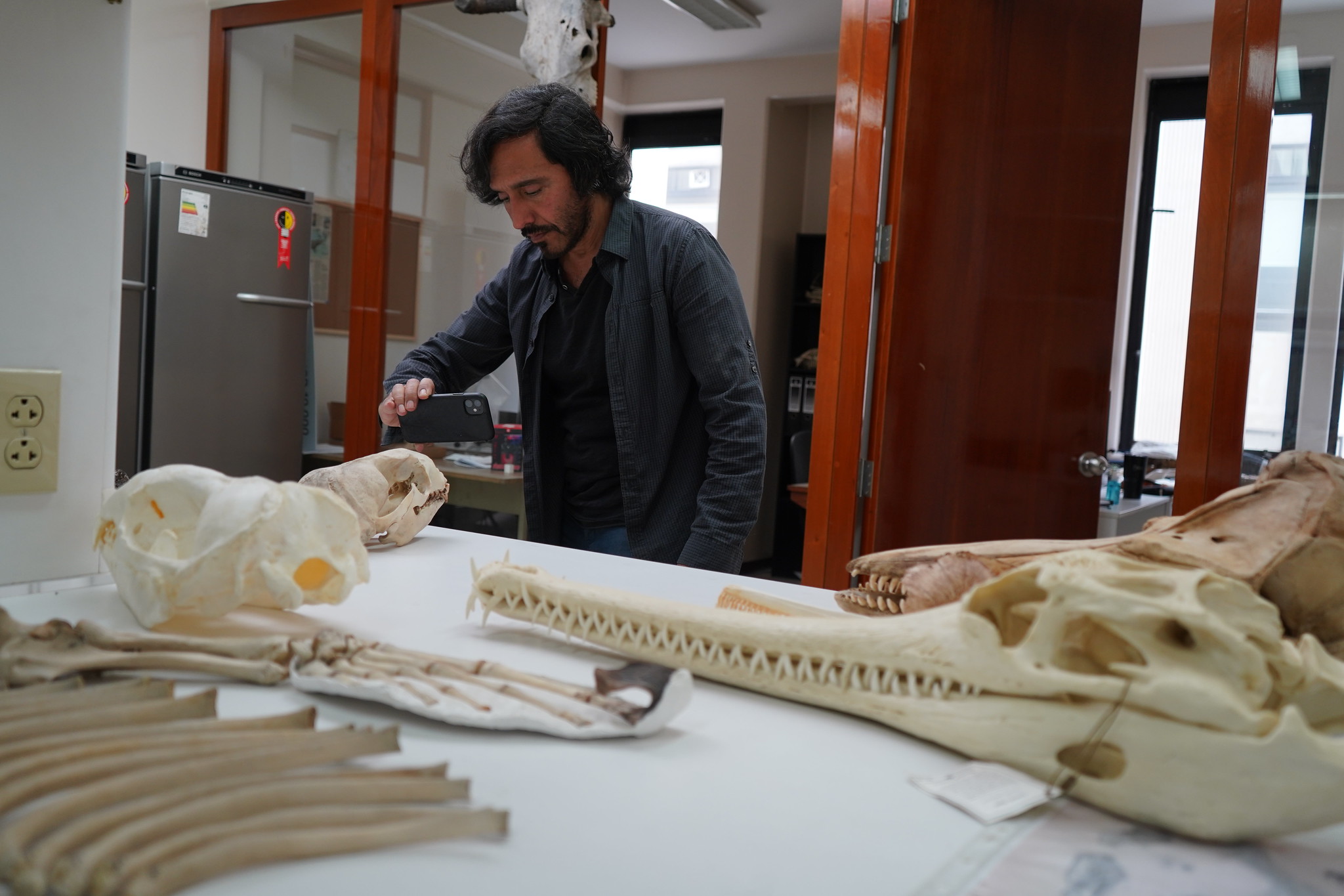 El Peruano | Explorando el pasado para entender la Amazonía: Expedición del Dr. Rodolfo Salas-Gismondi busca revelar el origen de su biodiversidad