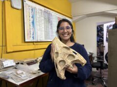 Camila Zamora-Vega, egresada de Cayetano Heredia, presenta al mundo al Piscogavialis laberintoensis, un fósil que cambia la historia
