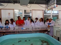 Aprender haciendo: estudiantes de Sechura viven la experiencia del CIDIS–CITEacuícola de Cayetano Heredia