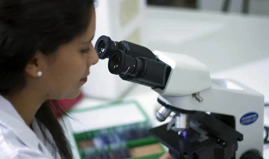 Investigadores de Cayetano Heredia entre los científicos más influyentes del mundo