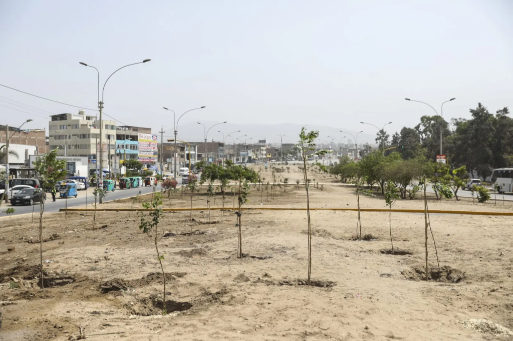 Imagen-que-muestra-la-escasez-de-areas-verdes-en-Lima-una-ciudad-donde-el-acceso-a-espacios-de-descanso-y-recreacion-sigue-siendo-desigual-y-limitado-para-gran-parte-de-la-poblacion