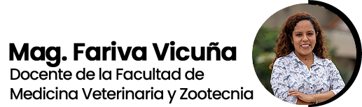 portada8