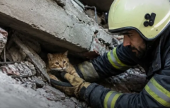 Egresada de la Cayetano brindó recomendaciones para proteger a las mascotas ante un sismo 